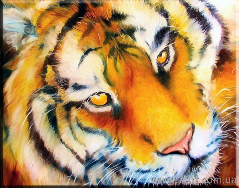 Картины Животных, Art. STUD1511522